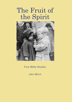 Stumbling Blocks Bible Study